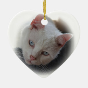 Weiße Katze Keramikornament
