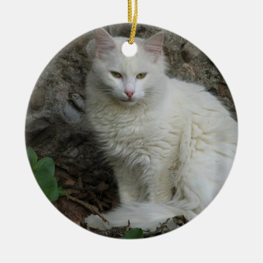 Weiße Katze Keramikornament (Vorne)