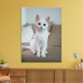 Weiße Katze Leinwanddruck (Insitu (Wohnzimmer))