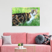 Weiße Katze Leinwanddruck (Insitu (Wohnzimmer))