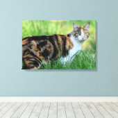 Weiße Katze Leinwanddruck (Insitu (Holzboden))