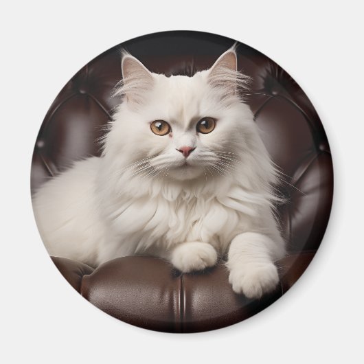 Weiße Katze Magnet (Vorne)