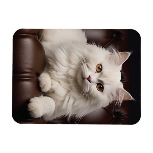 Weiße Katze Magnet (Horizontal)