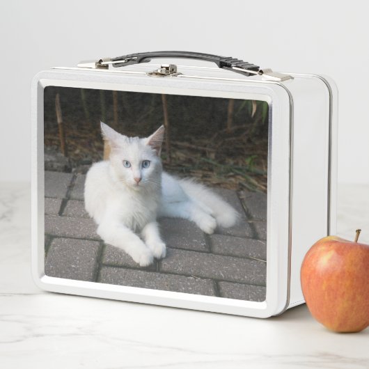 Weiße Katze Metall Brotdose (Beispiel)
