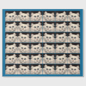 weiße Katze mit blauen Augen Geschenkpapier (Flach)