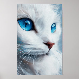 Weiße Katze mit blauen Augen Poster