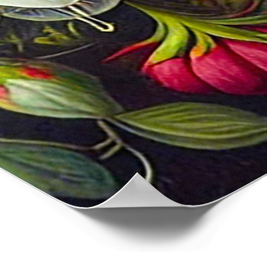 Weiße Katze mit blauen Augen Poster (Ecke)