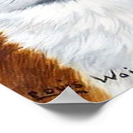 Weiße Katze mit Fan Poster (Ecke)