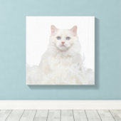 Weiße Katze mit Federn Leinwanddruck (Insitu (Holzboden))