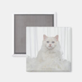 Weiße Katze mit Federn Magnet (Vorderseite/Rückseite)