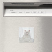 Weiße Katze mit Federn Magnet (In Situ (Geschirrspüler))