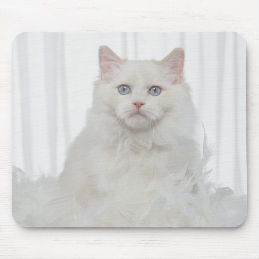 Weiße Katze mit Federn Mousepad (Vorne)