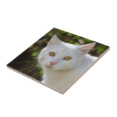 Weiße Katze mit gelben Augen Fliese (Seite)