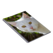 Weiße Katze mit gelben Augen Notizblock (Rechte Seite)