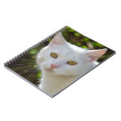 Weiße Katze mit gelben Augen Notizblock (Linke Seite)