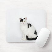 Weiße Katze mit schwarzen Flecken Mousepad (Mit Mouse)