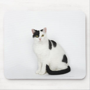 Weiße Katze mit schwarzen Flecken Mousepad