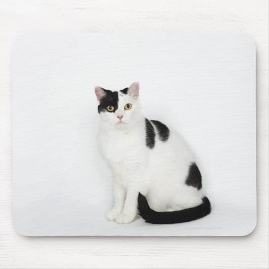Weiße Katze mit schwarzen Flecken Mousepad (Vorne)