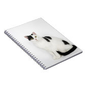 Weiße Katze mit schwarzen Flecken Notizblock (Rechte Seite)