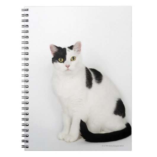 Weiße Katze mit schwarzen Flecken Notizblock (Vorderseite)