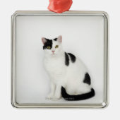 Weiße Katze mit schwarzen Flecken Silbernes Ornament (Vorne)
