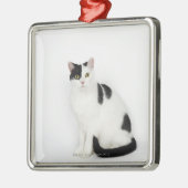 Weiße Katze mit schwarzen Flecken Silbernes Ornament (Links)