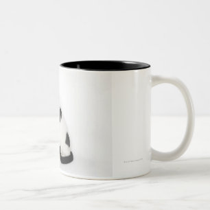 Weiße Katze mit schwarzen Flecken Zweifarbige Tasse