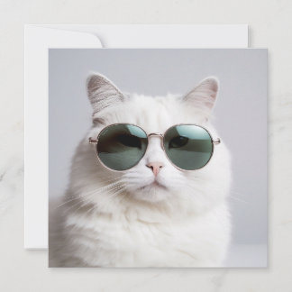 Weiße Katze mit Sonnenbrille, coole Katze, hübsche Einladung
