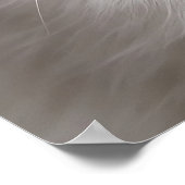 Weiße Katze mit Sonnenbrille, coole Katze, hübsche Poster (Ecke)