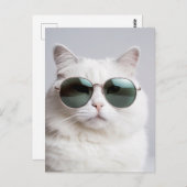 Weiße Katze mit Sonnenbrille, coole Katze, hübsche Postkarte (Vorne/Hinten)