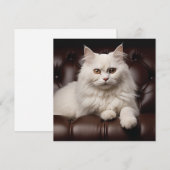 Weiße Katze Mitteilungskarte (Vorne/Hinten)