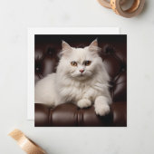Weiße Katze Mitteilungskarte (Vorderseite/Rückseite Beispiel)