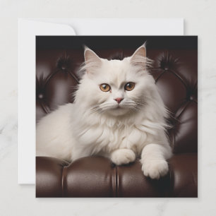 Weiße Katze Mitteilungskarte