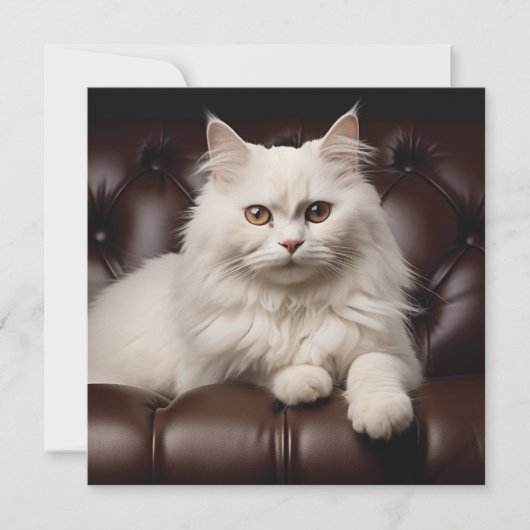 Weiße Katze Mitteilungskarte (Vorderseite)