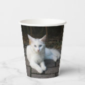 Weiße Katze Pappbecher (Rückseite)