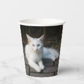 Weiße Katze Pappbecher (Vorderseite)