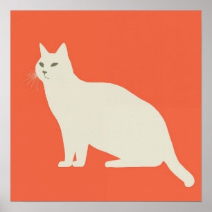 Weiße Katze Poster