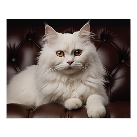 Weiße Katze Poster (Vorderseite)