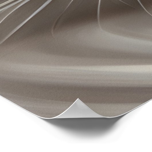 Weiße Katze. Poster (Ecke)