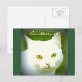 Weiße Katze Postkarte (Vorne/Hinten)