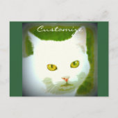 Weiße Katze Postkarte (Vorderseite)