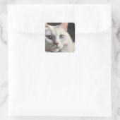 Weiße Katze Quadratischer Aufkleber (Tasche)