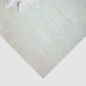 Weiße Katze Seidenpapier (Detail)