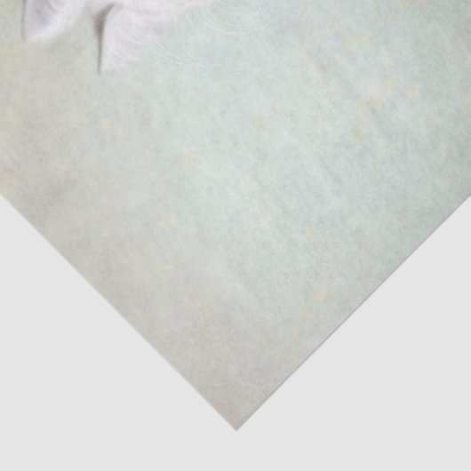 Weiße Katze Seidenpapier (Detail)