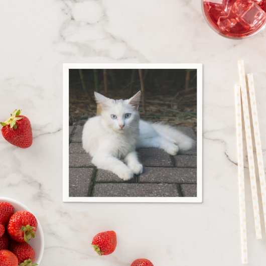 Weiße Katze Serviette (Beispiel)