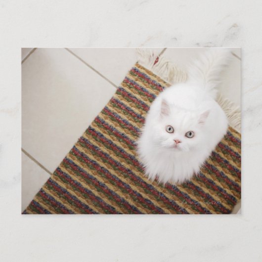 Weiße Katze sitzt auf Matte Postkarte (Vorderseite)