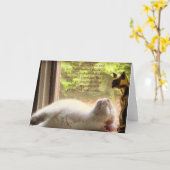 Weiße Katze u. Dalai Lama-Güte-Zitat Karte (Gelbe Blume)