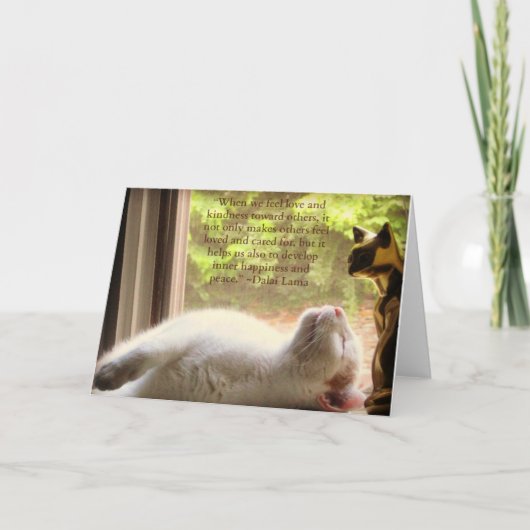 Weiße Katze u. Dalai Lama-Güte-Zitat Karte (Vorderseite)