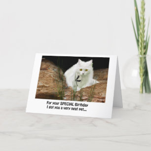 Weiße Katze und Libelle zugeschnitten, Geburtstags Karte