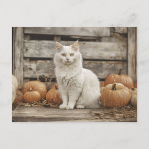 Weiße Katze Vintage-Herbstkürbisse Postkarte